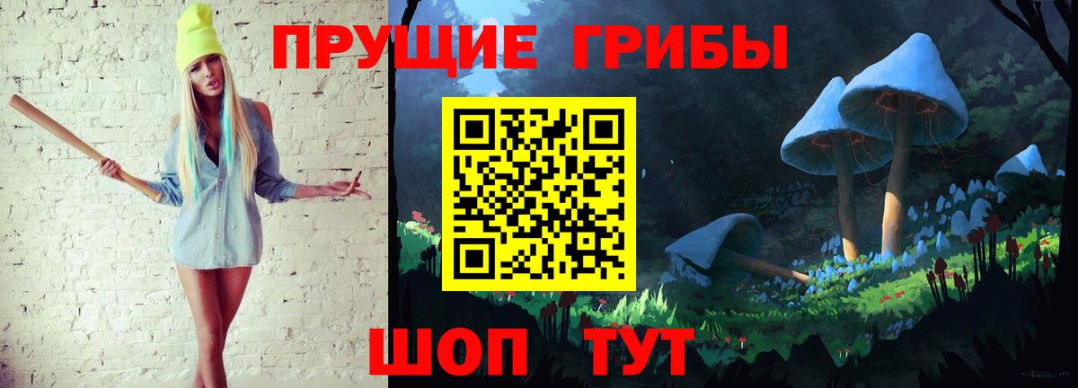 Галлюциногенные грибы Psilocybe Фролово